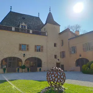 Chateau De La Venerie , Denicé Frankreich